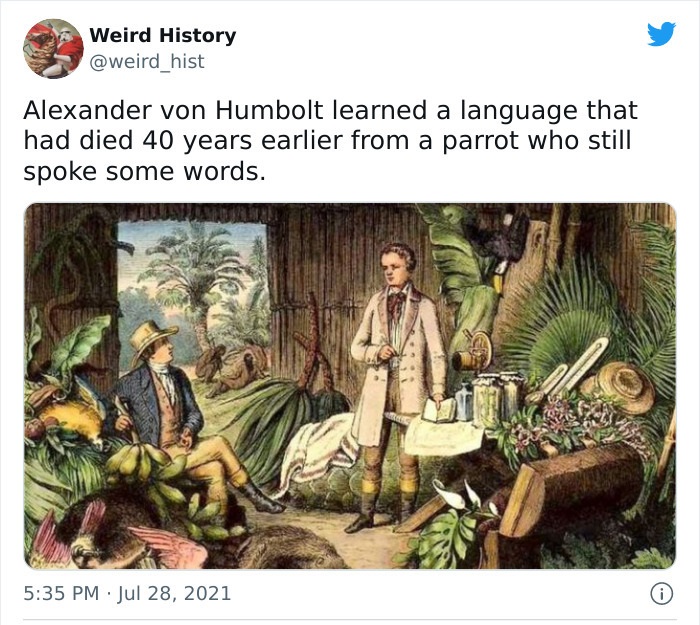 odd history facts and pics  - alexander von humboldt bonpland - Weird History Alexander von Humbolt learned a language that had died 40 years earlier from a parrot who still spoke some words. . i