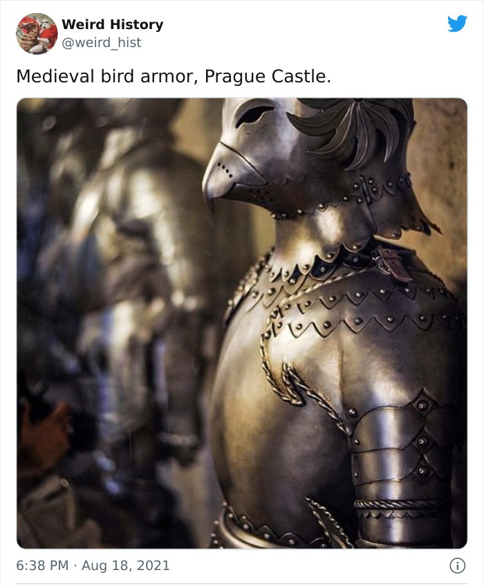 odd history facts and pics  - prague castle armour - Weird History Medieval bird armor, Prague Castle. V