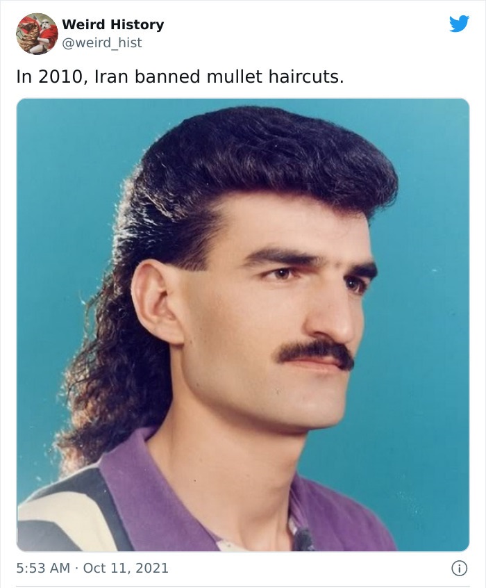 odd history facts and pics  - 80 hairstyle man - Weird History In 2010, Iran banned mullet haircuts. .