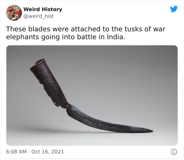 odd history facts and pics  - cold weapon - Weird History These blades were attached to the tusks of war elephants going into battle in India. . 0
