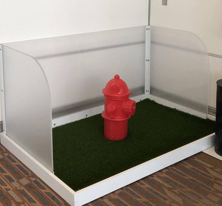 “Relief station for pets at airport in Canada.”