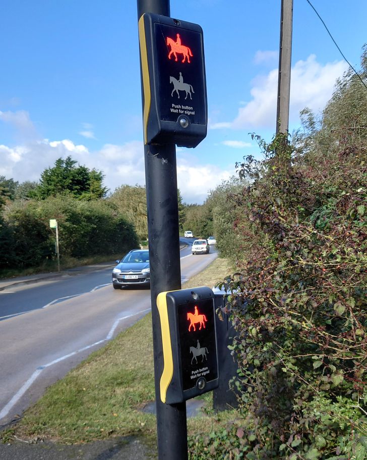 “This crossing near where I live has buttons for horse riders. I thought it was quite unique and extremely British.”