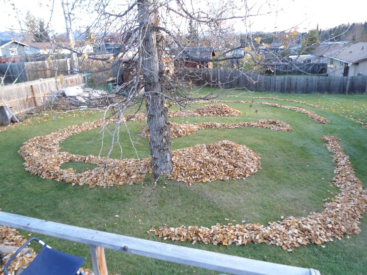 “Around 10 years ago I found a way to make raking leaves fun for my siblings and me.”