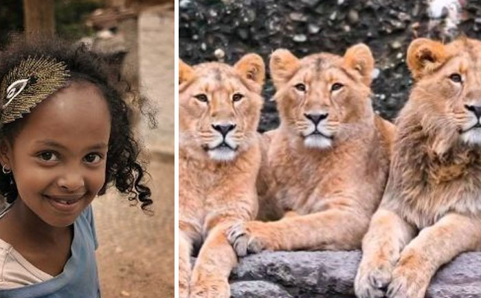 "This twelve-year-old from Ethiopia was on her way home and she was snatched up by four men. A week later, the group of men encountered these three lions and these lions chased the men off and kept the little girl. And they stayed with this little girl without harming her until the police found her."