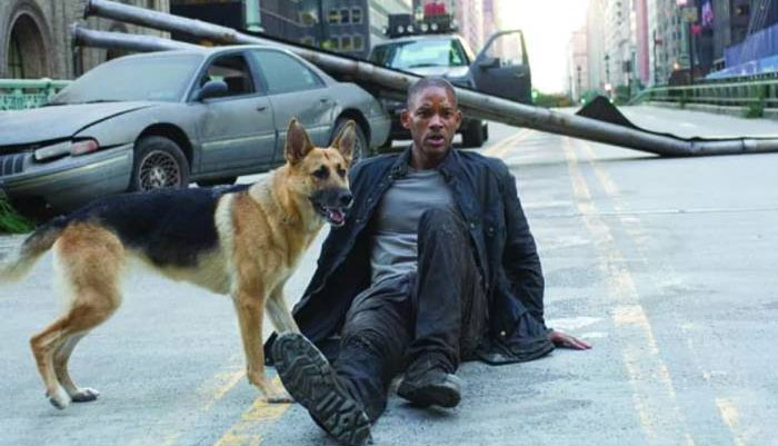 "After they got done filming the movie I Am Legend, Will Smith actually wanted to buy the German shepherd Abbey and begged the owner if he could buy her. But the owner was like: 'same, my dogs are my children.'"