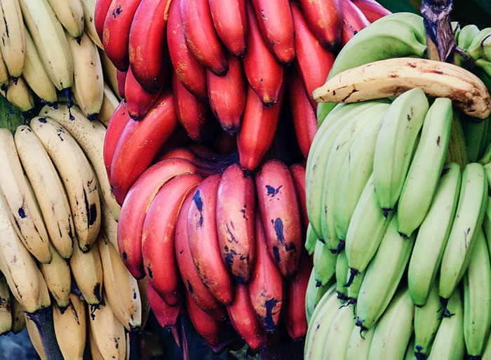 "There is such thing as a red banana. But the difference is it's sweeter, creamier and it tastes like raspberry."