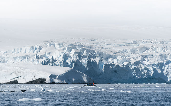 "In the Antarctic, there are no spiders."