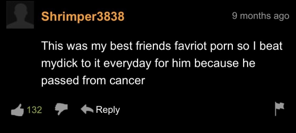 26 Pornhub Comments That Deserve a Gold Star