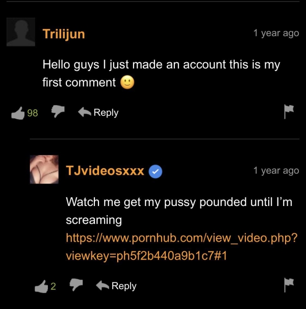 26 Pornhub Comments That Deserve a Gold Star