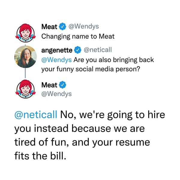 savage comments and replies - wendys - Meat Changing name to Meat angenette Are you also bringing back your funny social media person? Meat No, we're going to hire you instead because we are tired of fun, and your resume fits the bill.