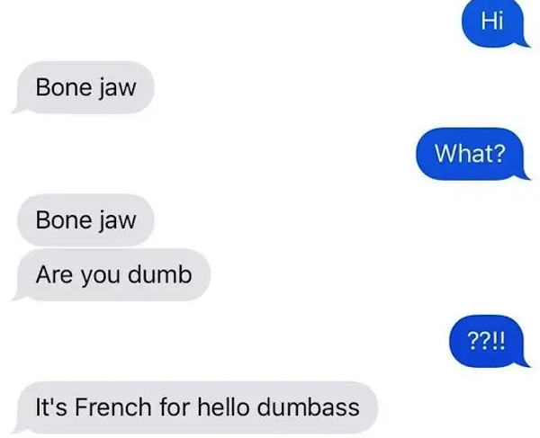 funny autocorrect fails and typos - communication - Hi Bone jaw What? Bone jaw Are you dumb ??!! It's French for hello dumbass