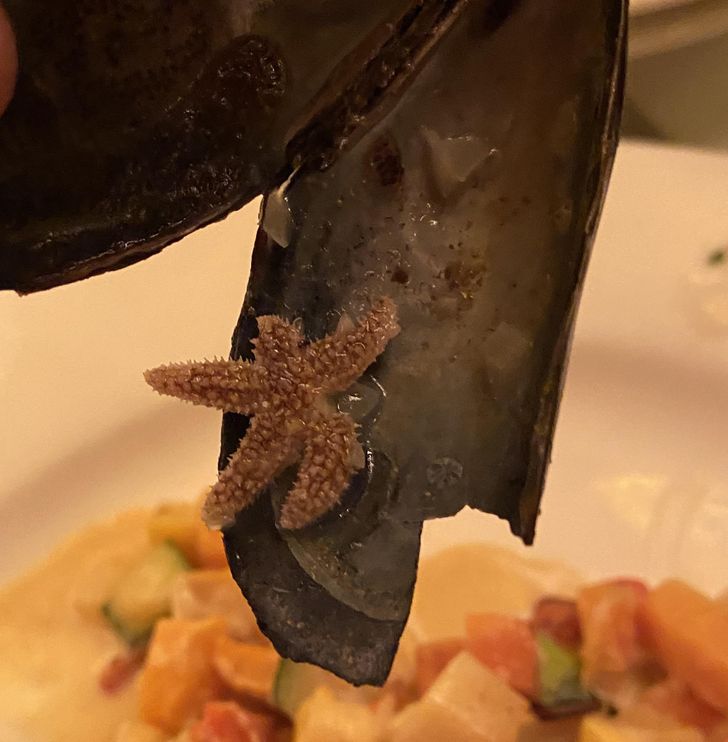 “My sister got a mini starfish in her mussels.”