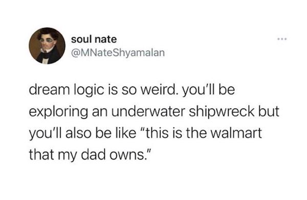 zodiac sagittarius zodiac facts astrology memes - soul nate Shyamalan dream logic is so weird. you'll be exploring an underwater shipwreck but you'll also be "this is the walmart that my dad owns."