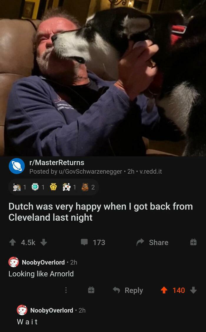 didn't know who talking to - photo caption - rMasterReturns Posted by uGovSchwarzenegger . 2h.v.redd.it 1 1 2 Dutch was very happy when I got back from Cleveland last night 173 NoobyOverlord 2h Looking Arnorld 140 NoobyOverlord 2h Wait