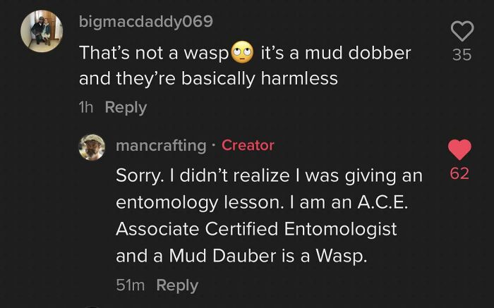 didn't know who talking to - screenshot - 35 bigmacdaddy069 That's not a wasp it's a mud dobber and they're basically harmless 1h 62 mancrafting. Creator Sorry. I didn't realize I was giving an entomology lesson. I am an A.C.E. Associate Certified Entomol