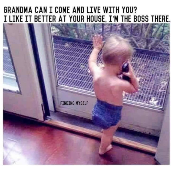 funny memes - babe i just can t - Grandma Can I Come And Live With You? I It Better At Your House. I'M The Boss There. Finding Myself