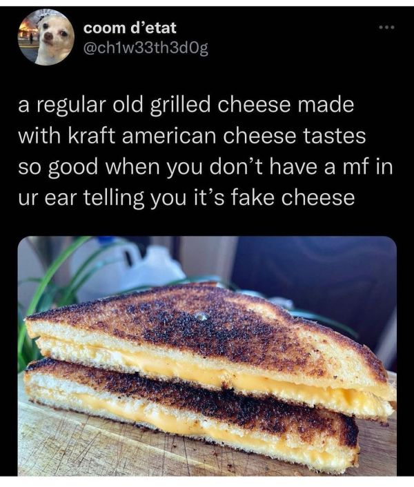 funny memes - kraft grilled cheese meme - coom d'etat a regular old grilled cheese made with kraft american cheese tastes so good when you don't have a mf in ur ear telling you it's fake cheese