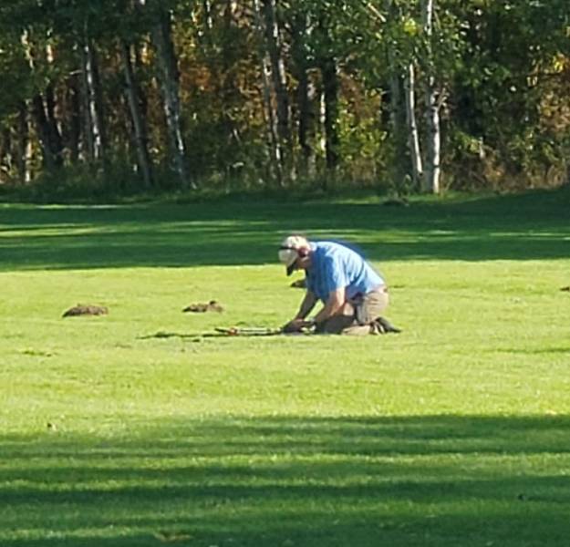 ’’This man proceeded to dig 50+ holes at our local park to indulge his metal detecting hobby.’’
