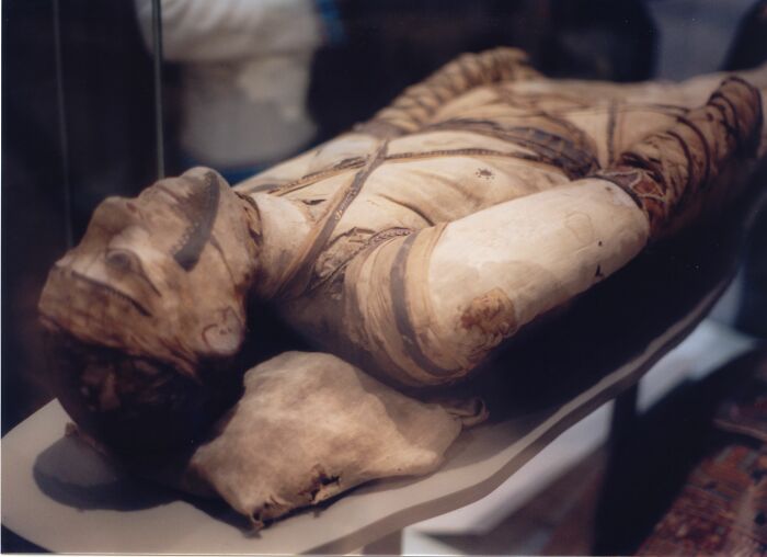 Female mummies in Ancient Egypt were always more decomposed than their male counterparts. They discovered that this was because male bodies were embalmed a lot sooner than female bodies. Female bodies were kept at the family home until they started to decompose in order to avoid necrophilia at the embalmers.