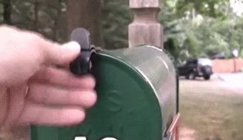 cat mailbox gif