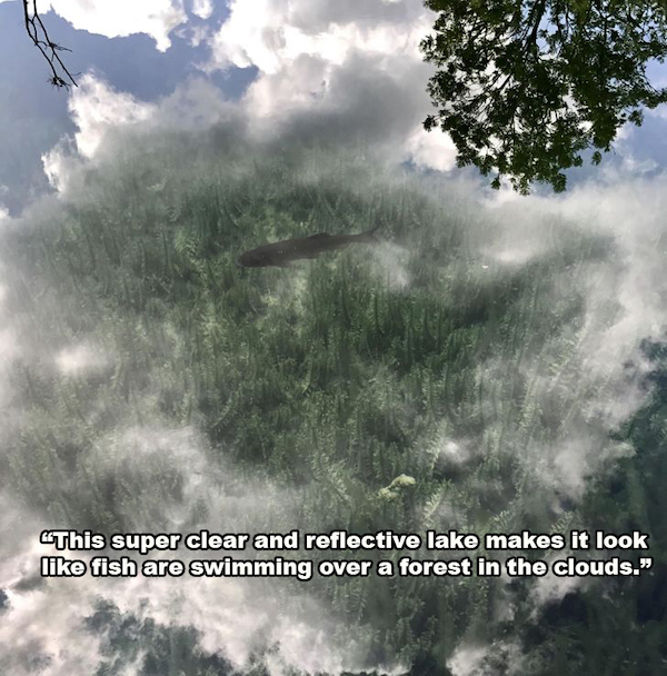 sky - This super clear and reflective lake makes it look fish are swimming over a forest in the clouds."