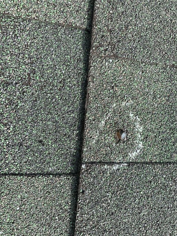 Got a roof inspection, they found a bullet in my shingles. My house is in a highly populated suburban area. It’s right above our master bedroom.