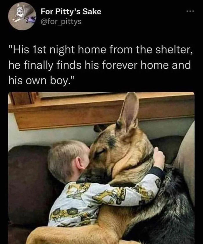 wholesome pics - first night home from the shelter and he finally found his forever home and his forever boy - For Pitty's Sake "His 1st night home from the shelter, he finally finds his forever home and his own boy."