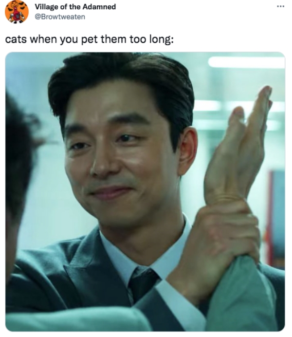 Funny Tweets  - gong yoo - Village of the Adamned cats when you pet them too long