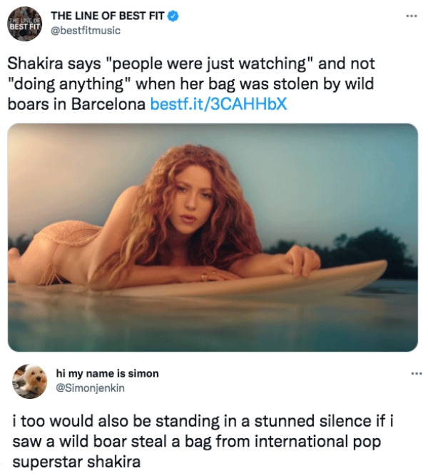 Funny Tweets  - photo caption - The Line Of Best Fit Best Fit Shakira says "people were just watching" and not "doing anything" when her bag was stolen by wild boars in Barcelona bestf.it3CAHHbX hi my name is simon i too would also be standing in a stunne