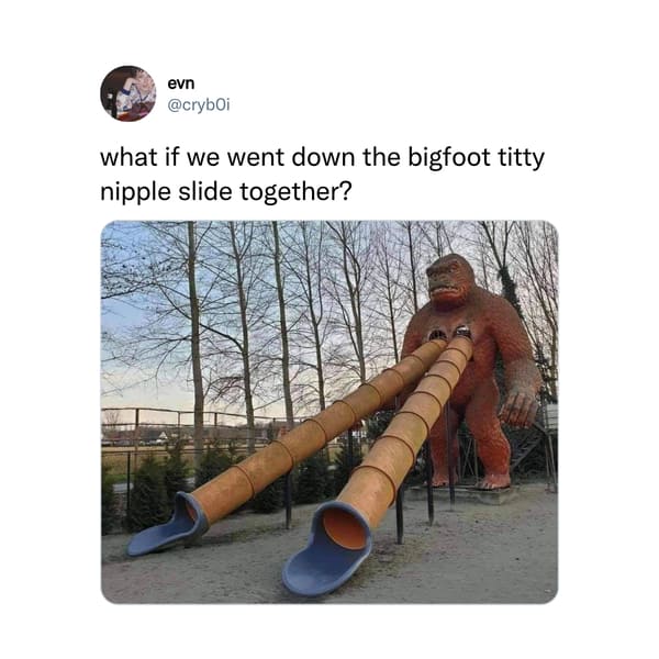 Funny Tweets  - booba gorilla slide - evn what if we went down the bigfoot titty nipple slide together?