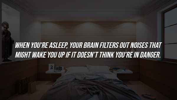 interesting facts - When You'Re Asleep, Your Brain Filters Out Noises That Might Wake You Up If It Doesn'T Think You'Re In Danger.
