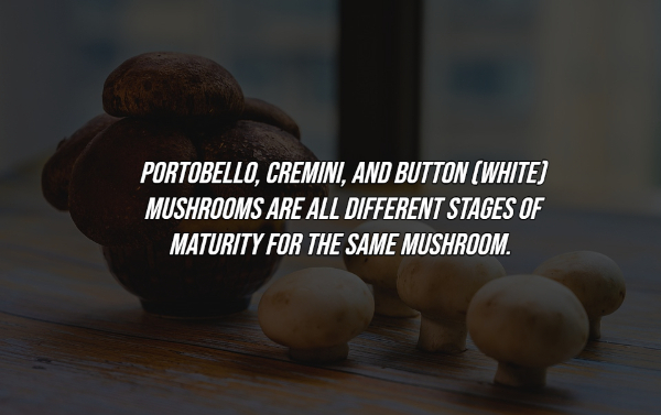 interesting facts - Portobello, Cremini, And Button White Mushrooms Are All Different Stages Of Maturity For The Same Mushroom. C