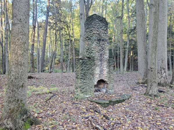 “Random old chimney and fireplace in the middle of the woods. Found off trail while fishing in North West Pennsylvania.”