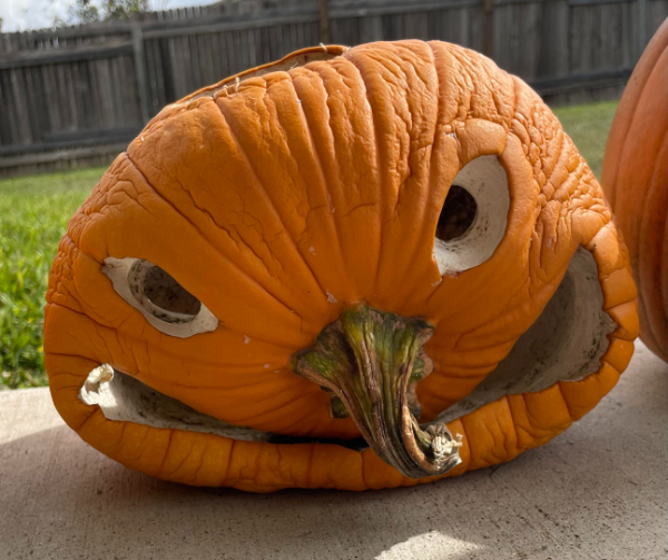 “My rotting pumpkin actually looks old and senile; when I first carved it, it was smiling and had teeth.”