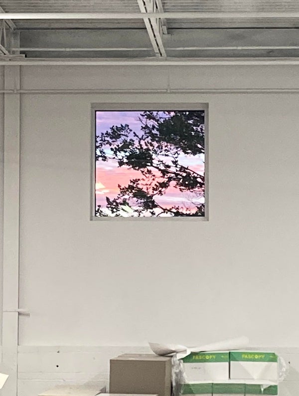 Some mornings, for just a few minutes, my warehouse window looks like a painting.