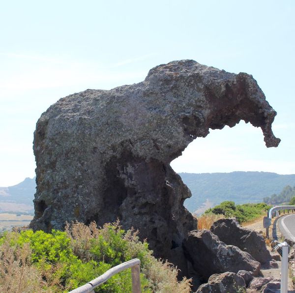 A rock that looks like an elephant.