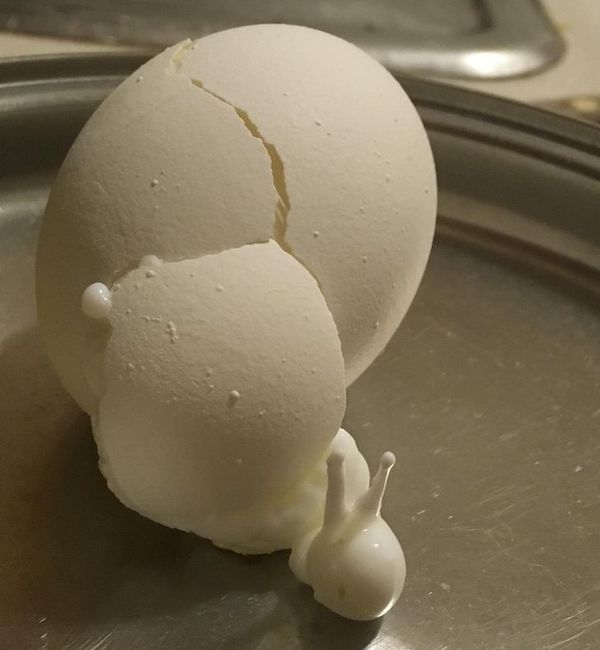 This boiled egg that exploded while cooking and looks like a snail.