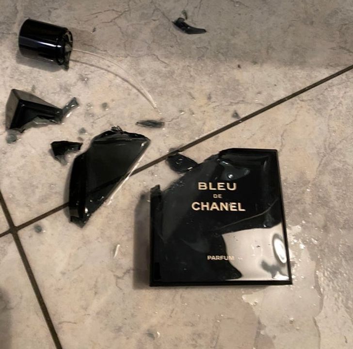 17 Things That Escalated Quickly.