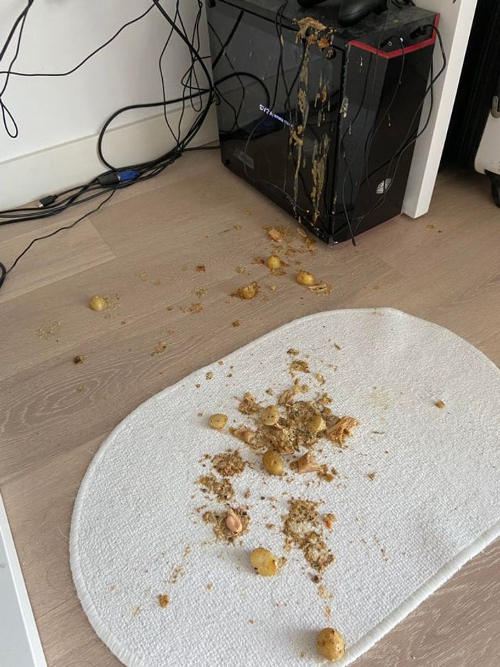 17 Things That Escalated Quickly.