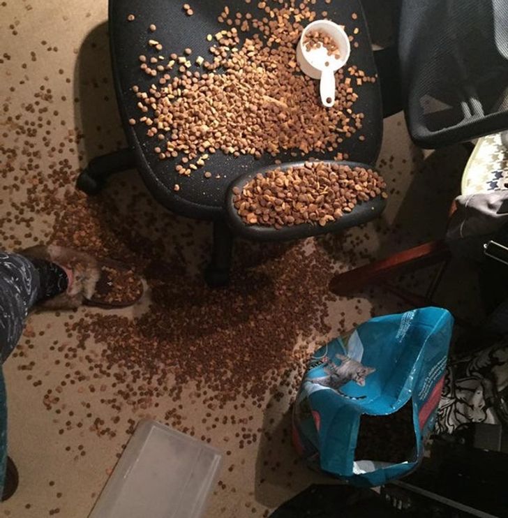 17 Things That Escalated Quickly.