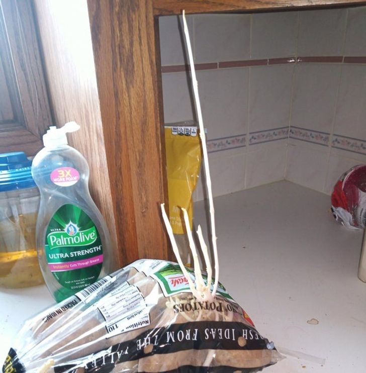 17 Things That Escalated Quickly.