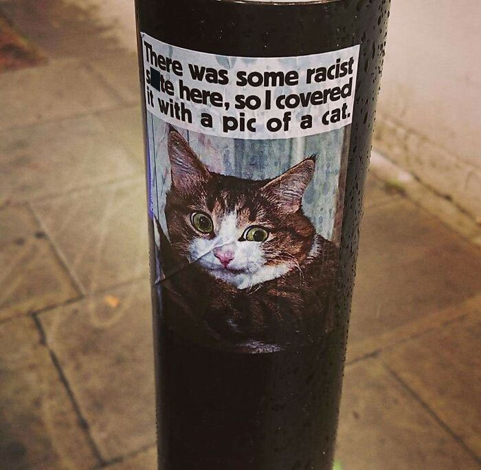 chaotic good - heroes - robin hoods - street funny posters - There was some racist te here, sol covered with a pic of a cat.