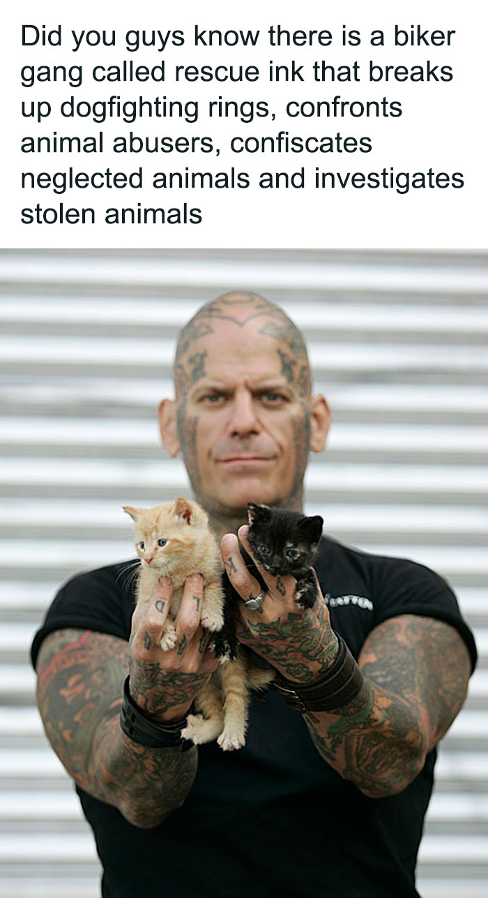 chaotic good - heroes - robin hoods - Did you guys know there is a biker gang called rescue ink that breaks up dogfighting rings, confronts animal abusers, confiscates neglected animals and investigates stolen animals