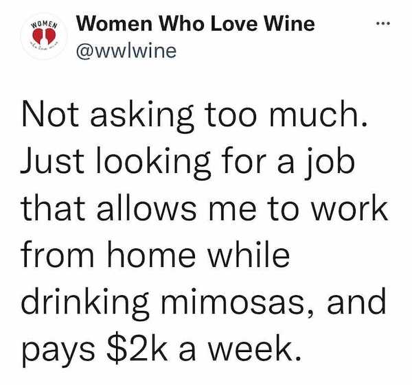work memes - office memes - ... Howey Women Who Love Wine Not asking too much. Just looking for a job that allows me to work from home while drinking mimosas, and pays $2k a week.