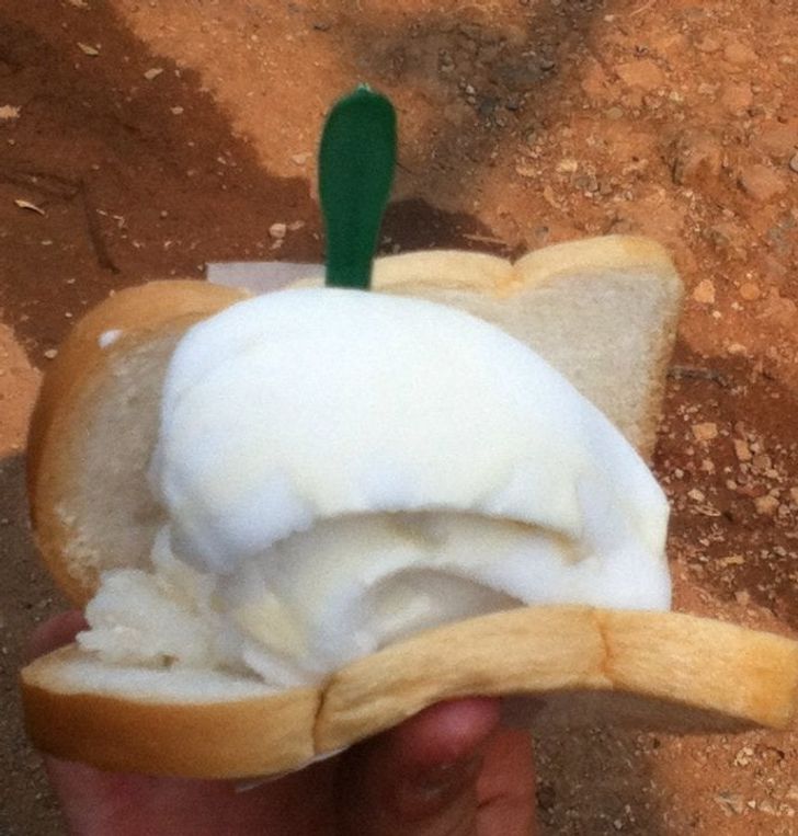 “I ordered an ice cream sandwich in Thailand. This is what they gave me.”