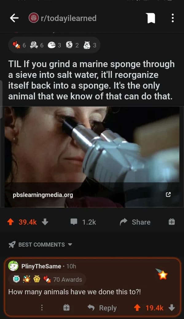 30 Comments That Are Cursed.