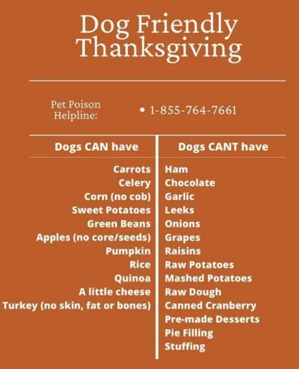 charts - infographics - diversity acrostic poem - Dog Friendly Thanksgiving Pet Poison Helpline 18557647661 Dogs Can have Dogs Cant have Carrots Ham Celery Chocolate Corn no cob Garlic Sweet Potatoes Leeks Green Beans Onions Apples no coreseeds Grapes Pum
