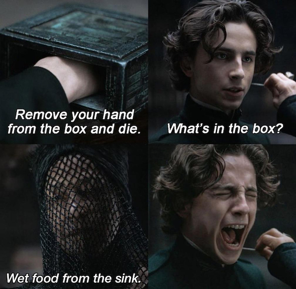 relatable memes  - sts 107 - Remove your hand from the box and die. What's in the box? Wet food from the sink.