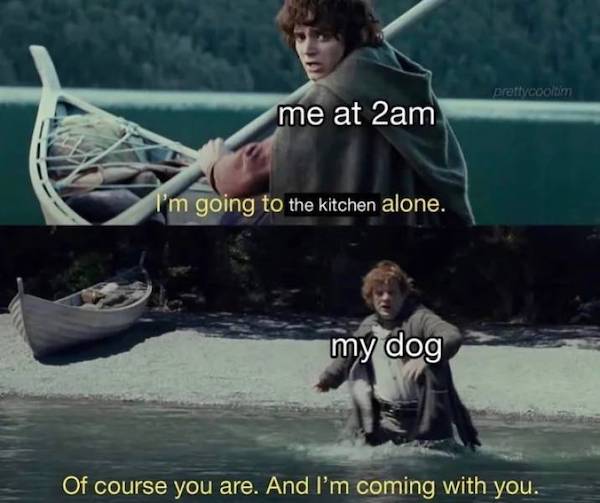 relatable memes  - im going to the kitchen alone - prettycoon me at 2am 'm going to the kitchen alone. my dog Of course you are. And I'm coming with you.