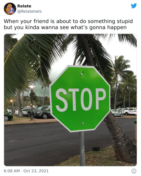 relatable memes  - green stop sign meme - Relate When your friend is about to do something stupid but you kinda wanna see what's gonna happen Stop .